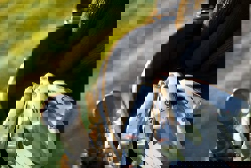 hybrid golf clubs image