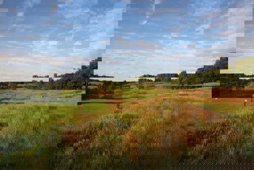 golf club membership fees