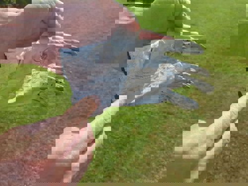 how to look after your golf glove