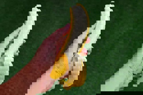 vegan snacks for golfers